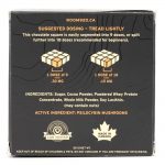 Room 920 – Mushroom Chocolate Bar - Milk Chocolate - 3 Grams | 3 Amigos Canada