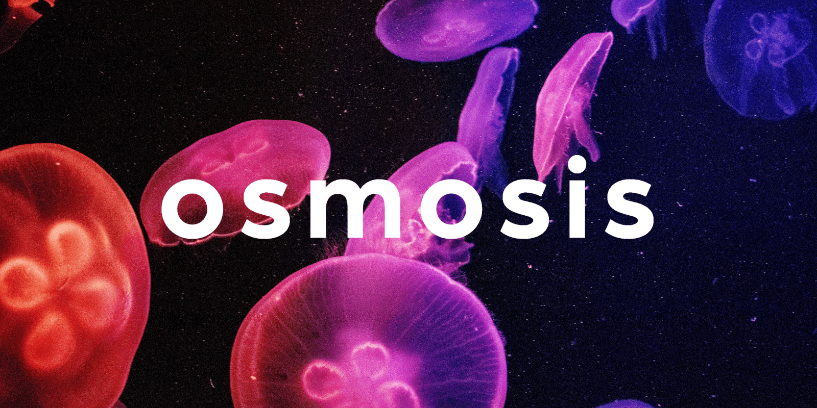 Zoomies osmosis banner | 3 Amigos Canada