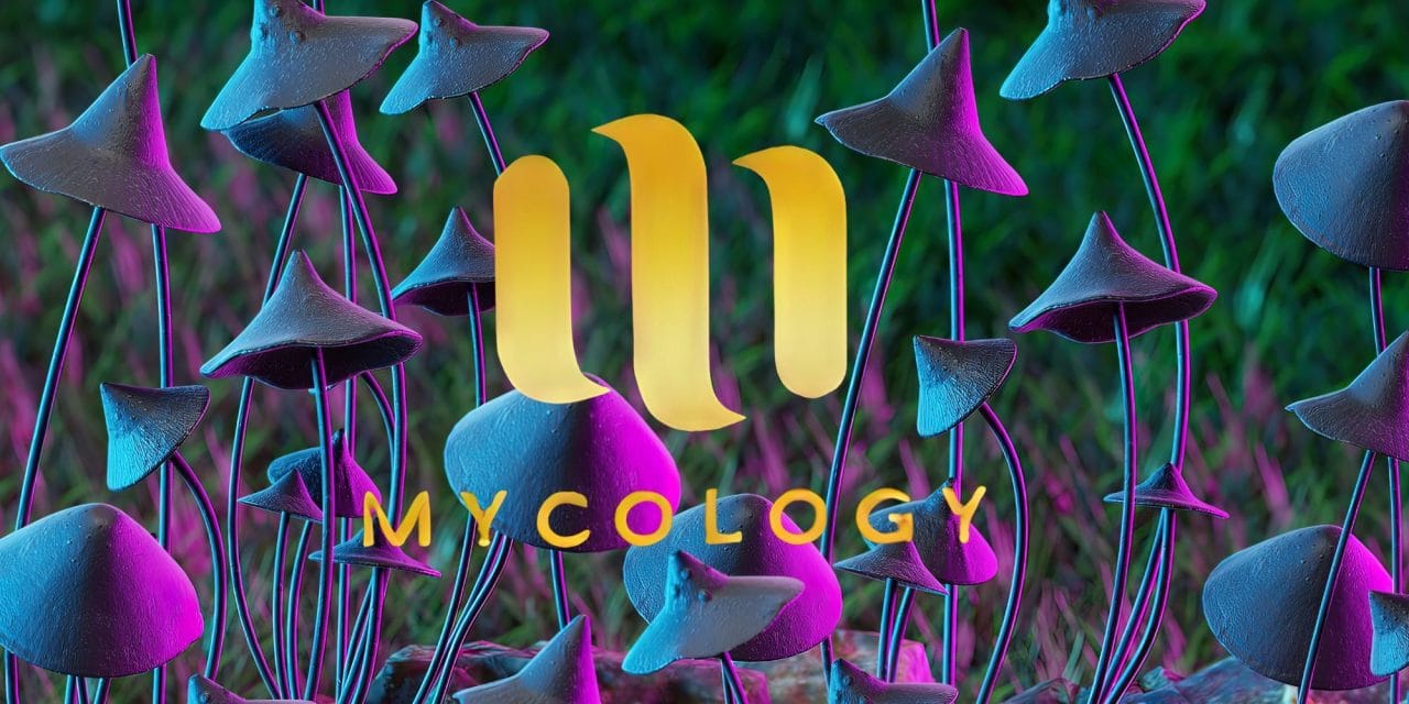Zoomies Summer 2023 Banner - Mycology | 3 Amigos Canada