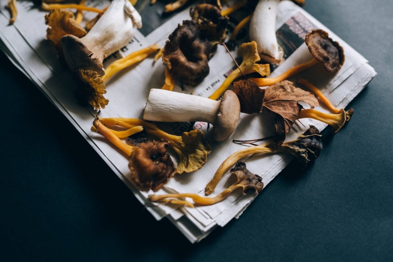 Is it Possible to Pair Mushrooms and Chocolate?
