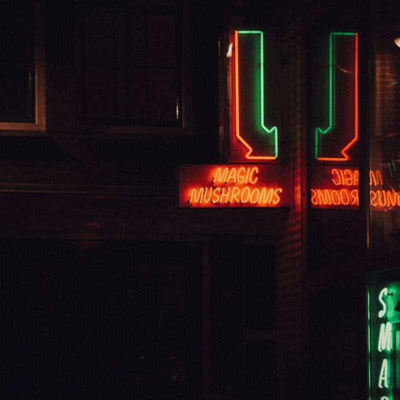 Mushroom Dispensary Vancouver | 3 Amigos Canada