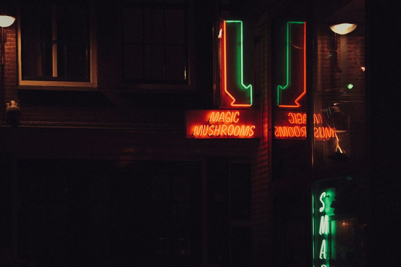 Vancouver Mushroom Dispensary – How is Canada Keeping Pace with the US Mushroom Surge?